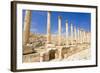 The Cardo, North Colonnaded Street, Jerash, Jordan.-Nico Tondini-Framed Photographic Print