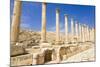 The Cardo, North Colonnaded Street, Jerash, Jordan.-Nico Tondini-Mounted Photographic Print