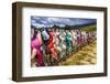 The Cardrona Bra Fence (Bradrona) supporting breast cancer, Otago, South Island, New Zealand-Russ Bishop-Framed Photographic Print