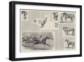 The Career of a Racehorse-John Charlton-Framed Premium Giclee Print