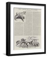 The Career of a Recehorse-John Charlton-Framed Giclee Print