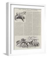 The Career of a Recehorse-John Charlton-Framed Giclee Print