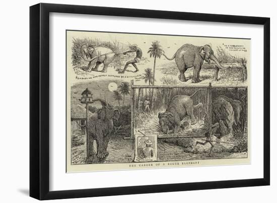 The Career of a Rogue Elephant-null-Framed Giclee Print
