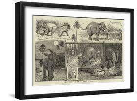 The Career of a Rogue Elephant-null-Framed Giclee Print