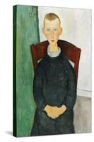 The Caretaker's Son, 1918-Amedeo Modigliani-Stretched Canvas