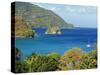 The Caribbean, Trinidad and Tobago, Tobago Island-Christian Kober-Stretched Canvas