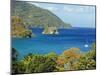 The Caribbean, Trinidad and Tobago, Tobago Island-Christian Kober-Mounted Photographic Print