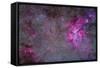 The Carina Nebula and Surrounding Clusters-Stocktrek Images-Framed Stretched Canvas