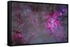 The Carina Nebula and Surrounding Clusters-Stocktrek Images-Framed Stretched Canvas
