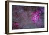 The Carina Nebula and Surrounding Clusters-Stocktrek Images-Framed Photographic Print