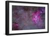 The Carina Nebula and Surrounding Clusters-Stocktrek Images-Framed Photographic Print