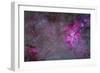 The Carina Nebula and Surrounding Clusters-Stocktrek Images-Framed Photographic Print