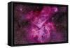 The Carina Nebula in the Southern Sky-null-Framed Stretched Canvas