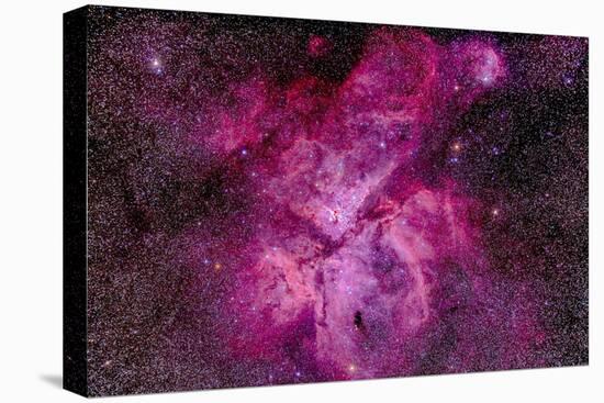 The Carina Nebula in the Southern Sky-null-Stretched Canvas