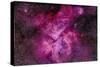 The Carina Nebula in the Southern Sky-null-Stretched Canvas