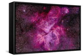 The Carina Nebula in the Southern Sky-null-Framed Stretched Canvas