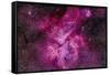 The Carina Nebula in the Southern Sky-null-Framed Stretched Canvas