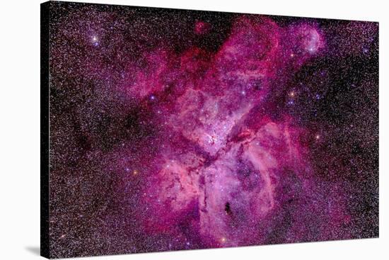 The Carina Nebula in the Southern Sky-null-Stretched Canvas