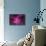 The Carina Nebula in the Southern Sky-null-Mounted Photographic Print displayed on a wall