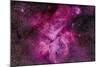The Carina Nebula in the Southern Sky-null-Mounted Photographic Print