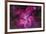 The Carina Nebula in the Southern Sky-null-Framed Photographic Print