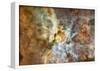 The Carina Nebula: Star Birth in the Extreme Space Photo Art Poster Print-null-Framed Poster