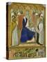 The Carmine Altarpiece, central panel depicting the Virgin and Child with angels, St. Nicholas and-Pietro Lorenzetti-Stretched Canvas