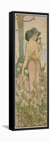 The Carnation, 1898-Alphonse Mucha-Framed Stretched Canvas