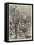 The Carnival at Nice, the Battle of Flowers-null-Framed Stretched Canvas