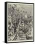 The Carnival at Nice, the Battle of Flowers-null-Framed Stretched Canvas