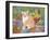 The Carpenter's Cat-Hilary Jones-Framed Giclee Print