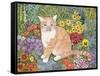 The Carpenter's Cat-Hilary Jones-Framed Stretched Canvas