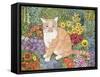 The Carpenter's Cat-Hilary Jones-Framed Stretched Canvas