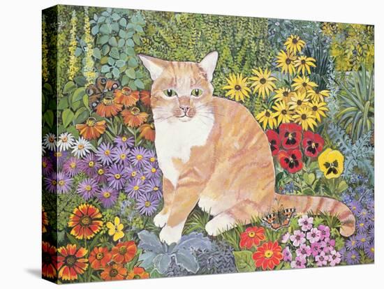 The Carpenter's Cat-Hilary Jones-Stretched Canvas