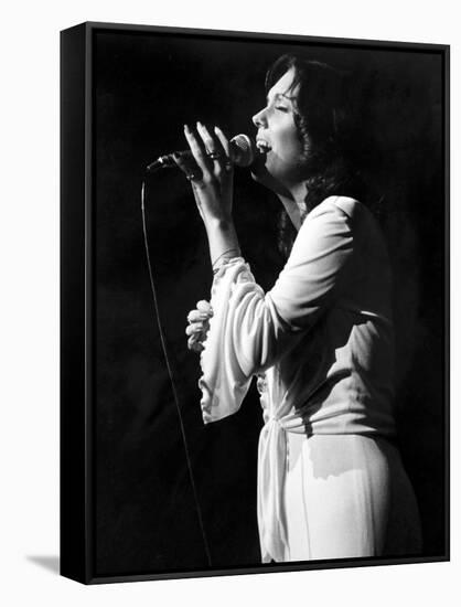 The Carpenters-null-Framed Stretched Canvas