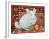 The Carpet-Chinchilla, 1992-Ditz-Framed Giclee Print