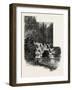 The Cascade, Virginia Water, Village Being in the Borough of Runnymede in Surrey, Uk-null-Framed Giclee Print