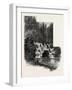 The Cascade, Virginia Water, Village Being in the Borough of Runnymede in Surrey, Uk-null-Framed Giclee Print