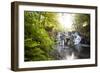 The Cascades, Virginia Water, Surrey, England, Uk, Europe-Charlie Harding-Framed Photographic Print