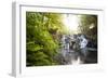 The Cascades, Virginia Water, Surrey, England, Uk, Europe-Charlie Harding-Framed Photographic Print