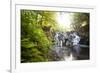 The Cascades, Virginia Water, Surrey, England, Uk, Europe-Charlie Harding-Framed Photographic Print