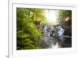 The Cascades, Virginia Water, Surrey, England, Uk, Europe-Charlie Harding-Framed Photographic Print