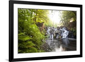 The Cascades, Virginia Water, Surrey, England, Uk, Europe-Charlie Harding-Framed Photographic Print