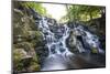 The Cascades, Virginia Water, Surrey, England, Uk, Europe-Charlie Harding-Mounted Photographic Print