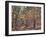 The Cashew Wood, 1998-Tilly Willis-Framed Giclee Print