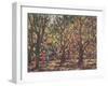 The Cashew Wood, 1998-Tilly Willis-Framed Giclee Print