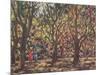 The Cashew Wood, 1998-Tilly Willis-Mounted Giclee Print