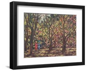 The Cashew Wood, 1998-Tilly Willis-Framed Giclee Print