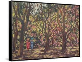 The Cashew Wood, 1998-Tilly Willis-Framed Stretched Canvas