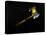 The Cassini Spacecraft in Orbit-null-Stretched Canvas